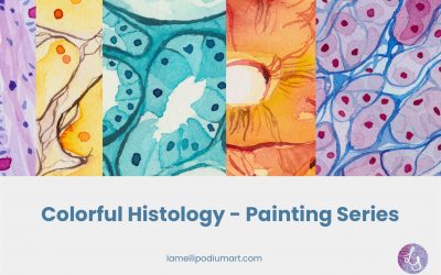 Colorful Histology – Painting Series