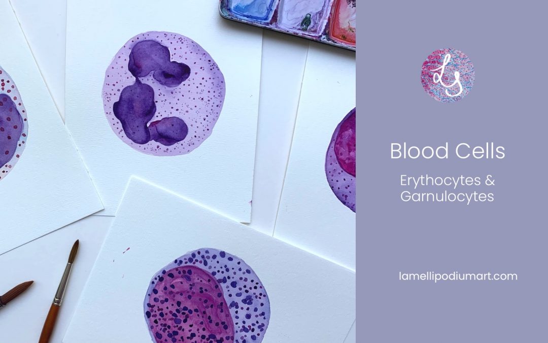 Blood Cells – Painting Series