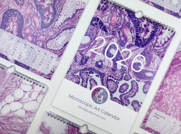 2026 Microscopic Watercolor Art Calendar, Classic Design