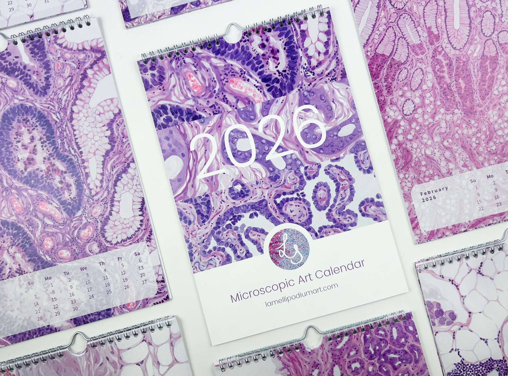 2026 Microscopic Watercolor Art Calendar, Classic Design - Image 6