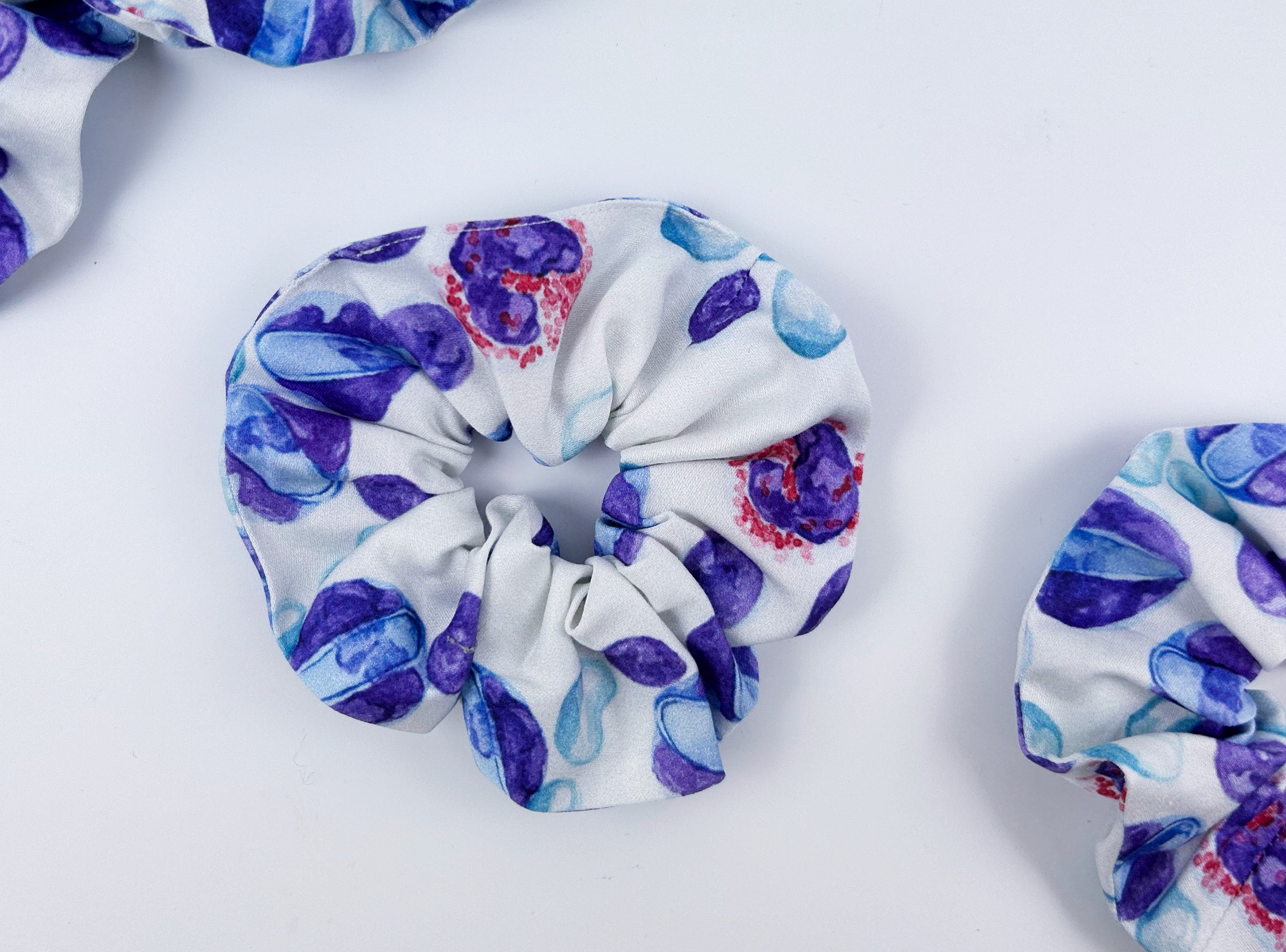 Art Scrunchie: Hepatozoon (Haematology Tales)