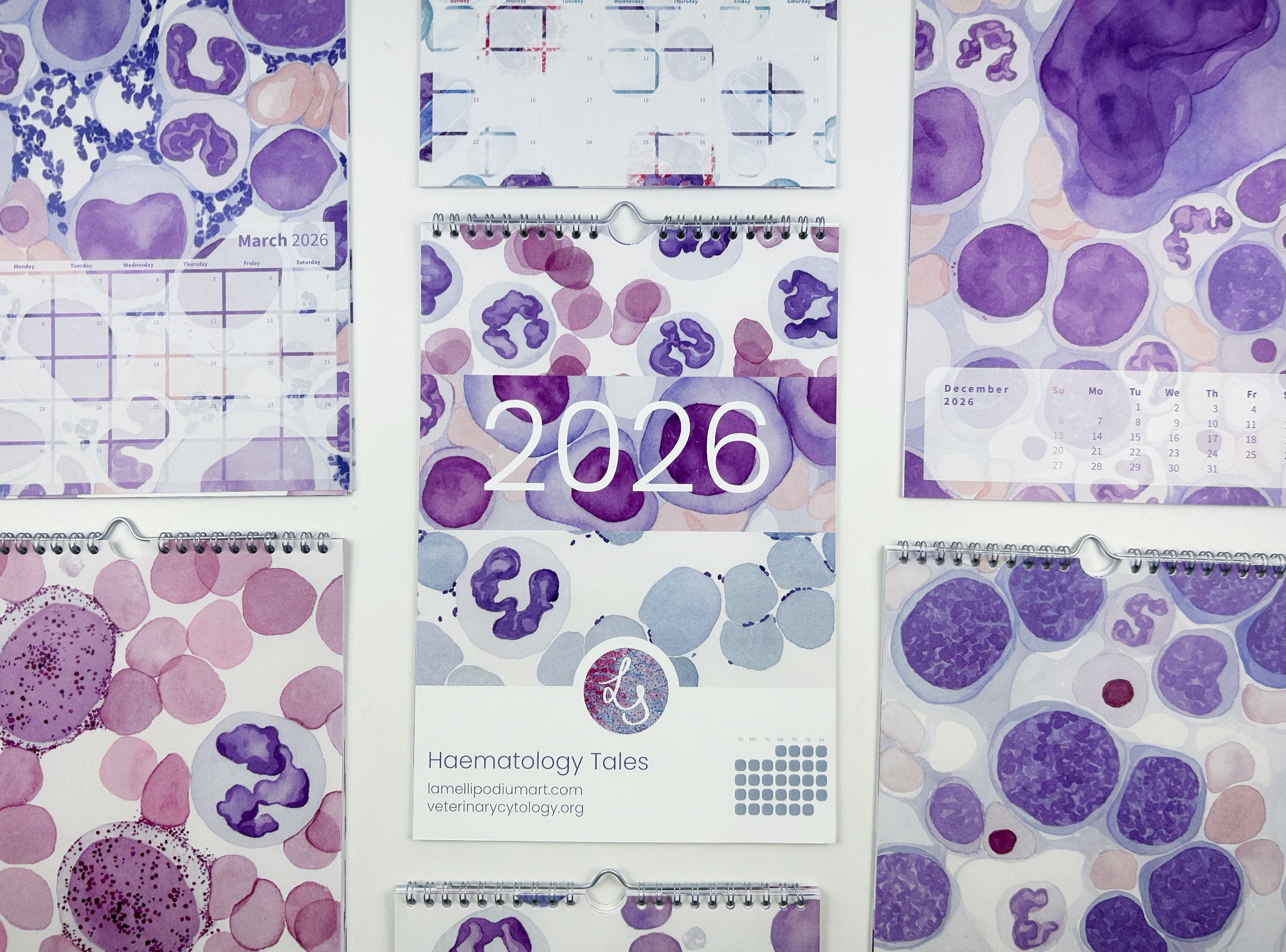 2026 Calendar "Haematology Tales", Writable Design - Image 4