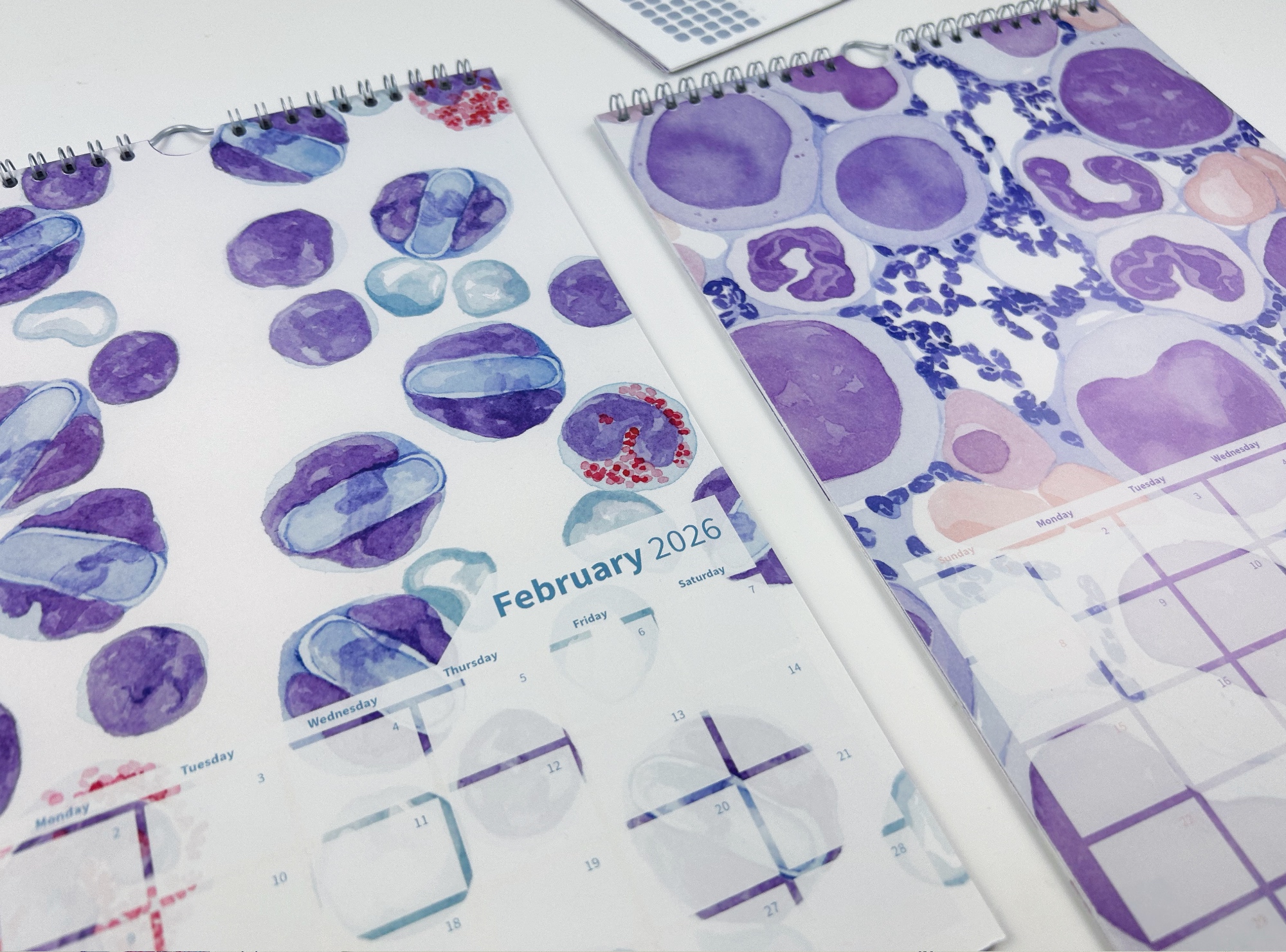 2026 Calendar "Haematology Tales", Writable Design - Image 2