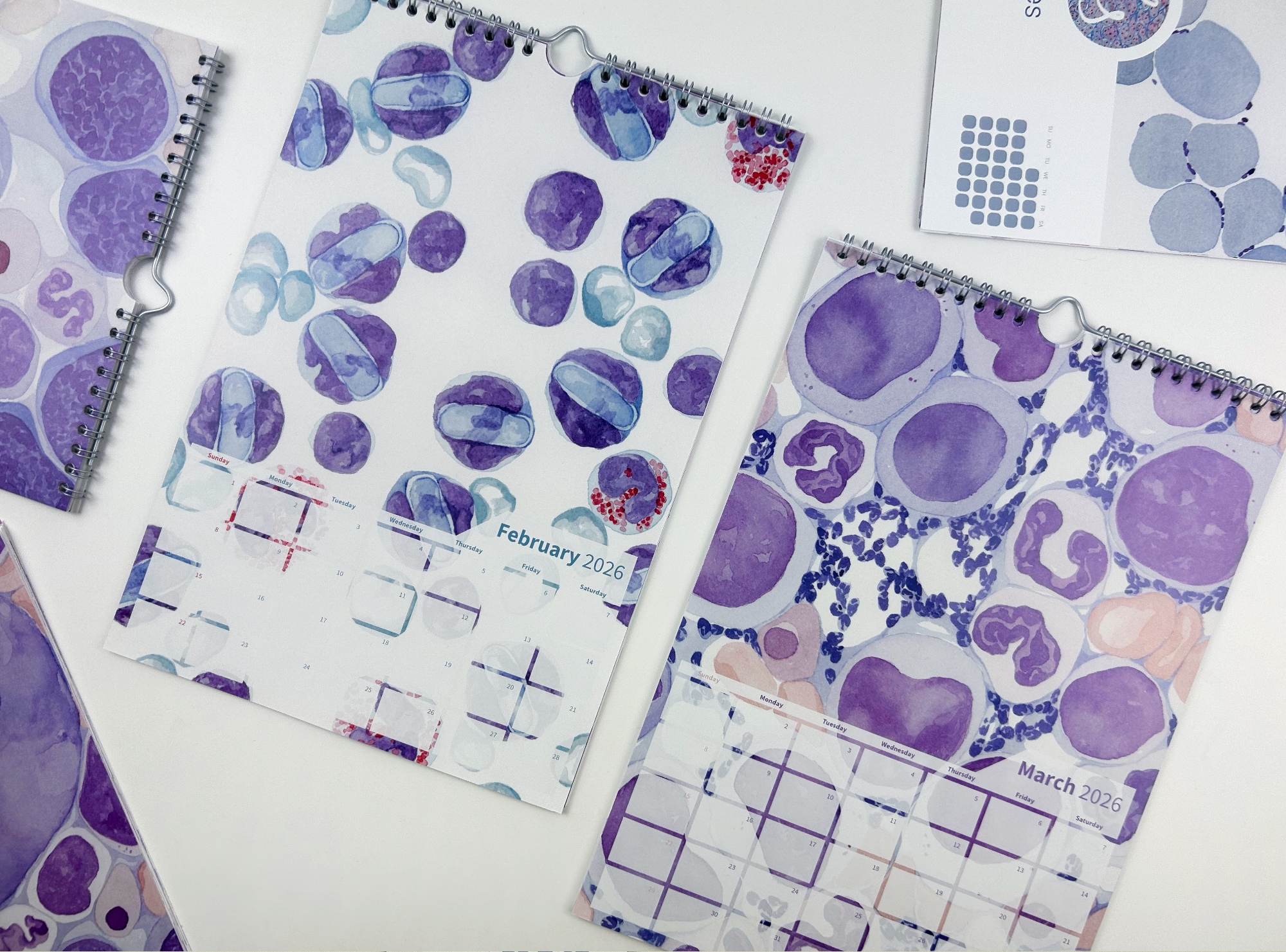 2026 Calendar "Haematology Tales", Writable Design - Image 3