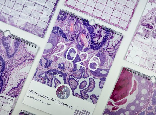 2026 Microscopic Watercolor Art Calendar, Writable Design