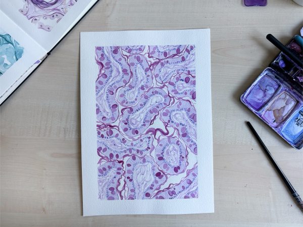 Original Watercolor Painting: Small Intestine - PAS